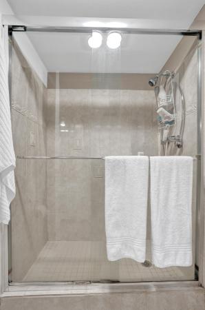 Meadowbrook Towers, 218 NE 12th Ave #401, Hallandale Beach, Florida 33009, image 2
