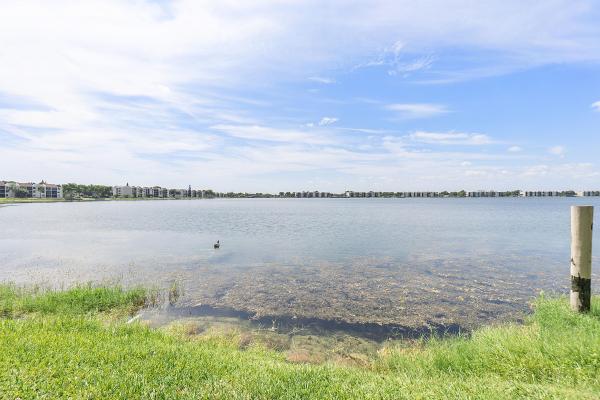 Lake Emerald, 116 Lake Emerald Dr #403, Oakland Park, Florida 33309, image 3