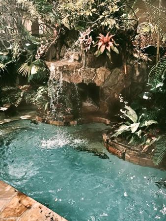 Villa Sorrento, 5880 NW 121st Ave, Coral Springs, Florida 33076, image 1