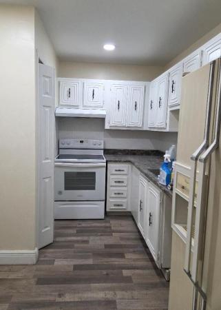 Lake Island, 220 NW 43rd Ct, Deerfield Beach, Florida 33064, image 3
