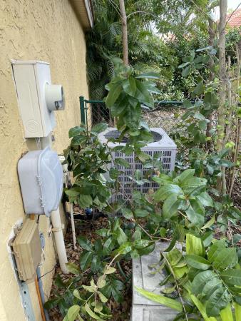 Elpine At Woodbine, 5338 Edenwood Ln, Riviera Beach, Florida 33418, image 1