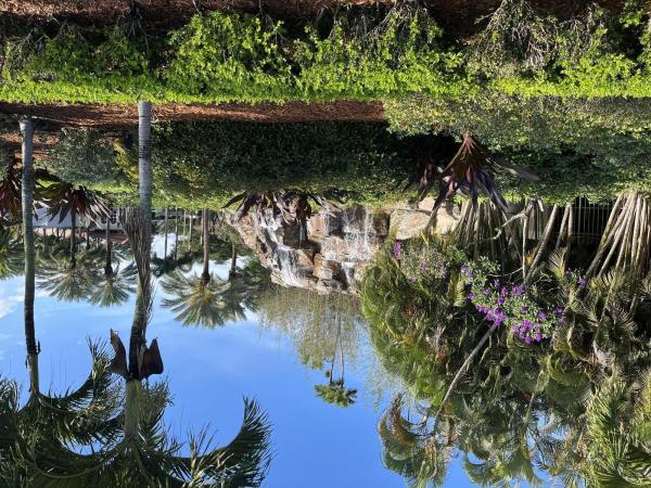 Plum At Boca Pointe, 6549 Via, Boca Raton, Florida 33433, image 1