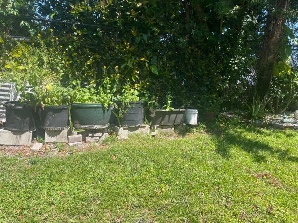 Summit Lake, 804 Summit Lake Dr, West Palm Beach, Florida 33406, image 3