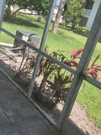 Durham, 283 Durham H, Deerfield Beach, Florida 33442, image 3