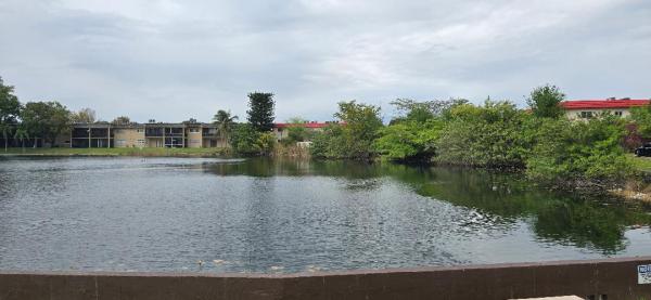 Lakeside Manor South, 5861 NW 16th Pl #201, Sunrise, Florida 33313, image 1