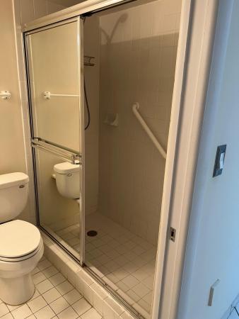 Lake Beach Club, 2600 Collins Ave #401, Miami Beach, Florida 33140, image 1