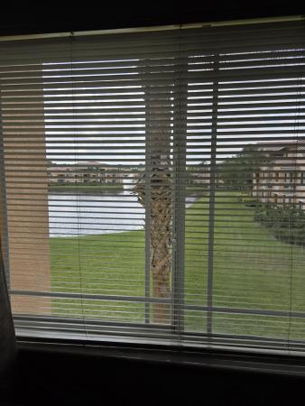 131 SW Palm Dr, Port St. Lucie, Florida 34986, image 3