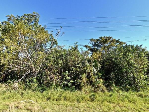 Hillview, 3950 N Us Highway 1, Fort Pierce, Florida 34946, image 2