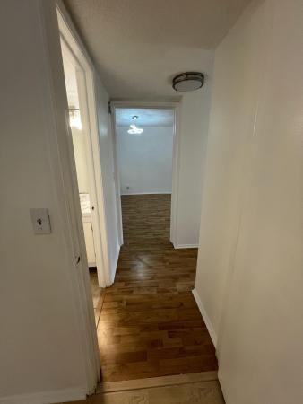 Live Oak Of Pine Island Ridge, 9470 Live Oak Pl #204, Davie, Florida 33324, image 1