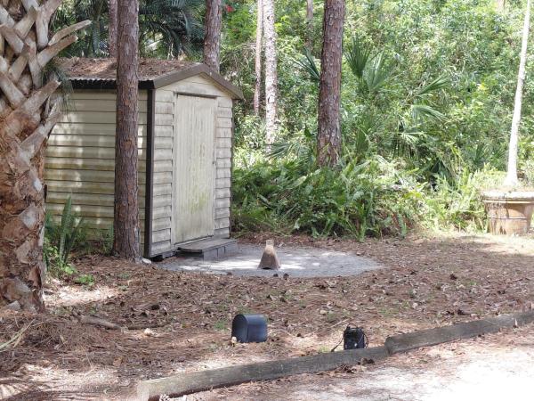 The Acreage Residential, 11615 Sunset Blvd, The Acreage, Florida 33411, image 1