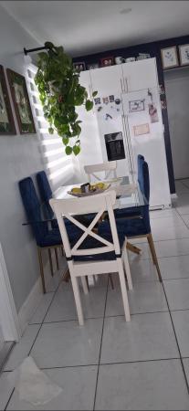 Belmar, 1519 S 24th Ter, Hollywood, Florida 33020, image 1