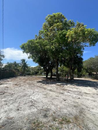 1920 Pierce, 1920 Pierce St, Hollywood, Florida 33020, image 2