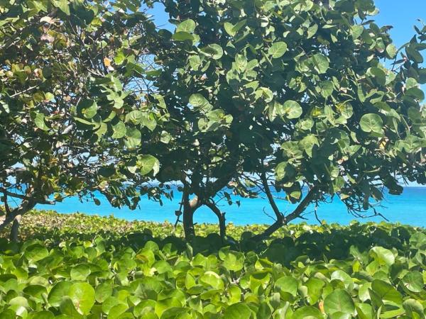 The Estuary At Jupiter Dunes, 4409 N Fairway Dr Dr, Jupiter, Florida 33477, image 2