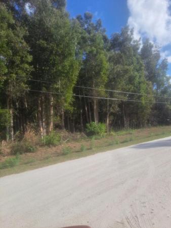 62 62nd Ct N, Loxahatchee, Florida 33470, image 1