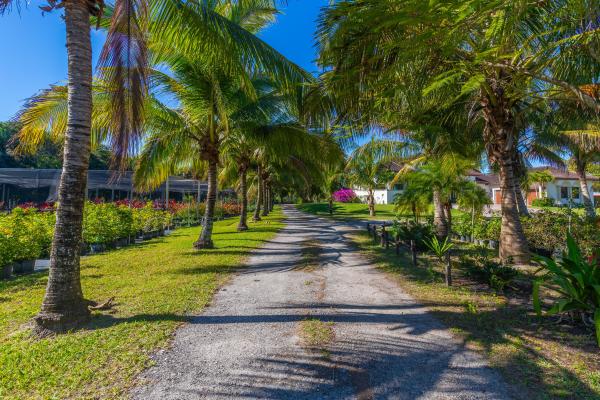 Loxahatchee Groves Residential, 2943 B Rd, Loxahatchee, Florida 33470, image 1