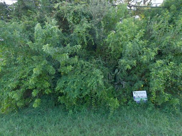 541 SW Cherryhill Rd, Port St. Lucie, Florida 34953, image 1
