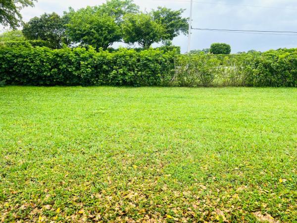 13445 Fishtail Palm Ct #C, Delray Beach, Florida 33484, image 3