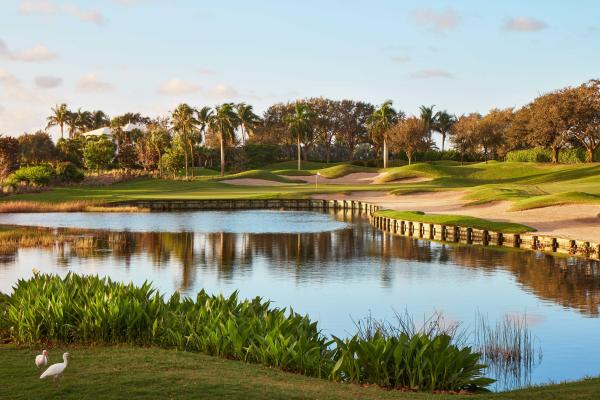 115 W Village Way, Jupiter, Florida 33458, image 2