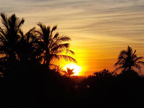 Water Glades, 5510 N Ocean Dr #2C, Riviera Beach, Florida 33404, image 1