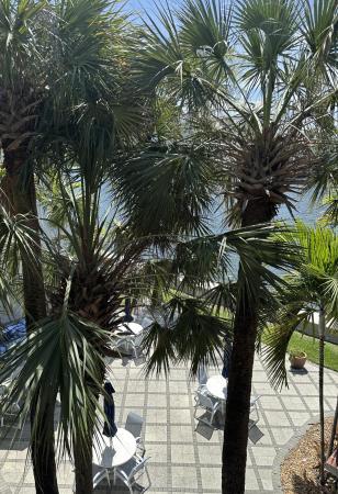 The Waterway At Hollywood Beach, 2600 S Ocean Dr #S304, Hollywood, Florida 33019, image 3