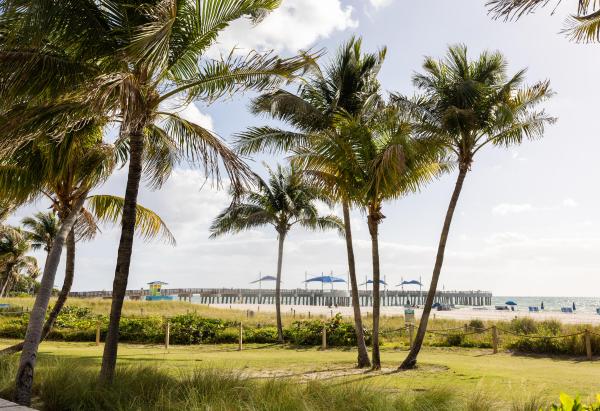 Collier Manor, 3361 NE 13th Ter, Pompano Beach, Florida 33064, image 1