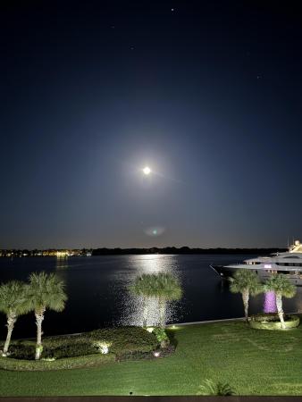 Quay South, 124 Lakeshore Dr #4280, North Palm Beach, Florida 33408, image 2