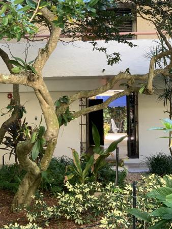 La Residence, 23200 Camino Del Mar #204, Boca Raton, Florida 33433, image 3