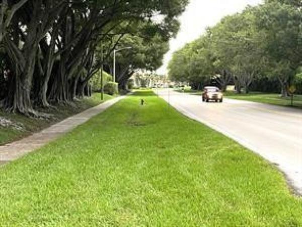9807 Pavarotti Ter #201, Boynton Beach, Florida 33437, image 1