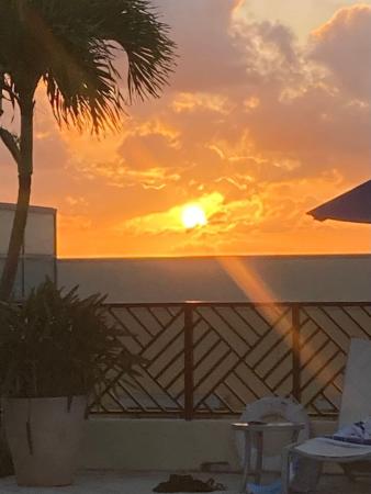 225 NE 1st St #202, Delray Beach, Florida 33444, image 1