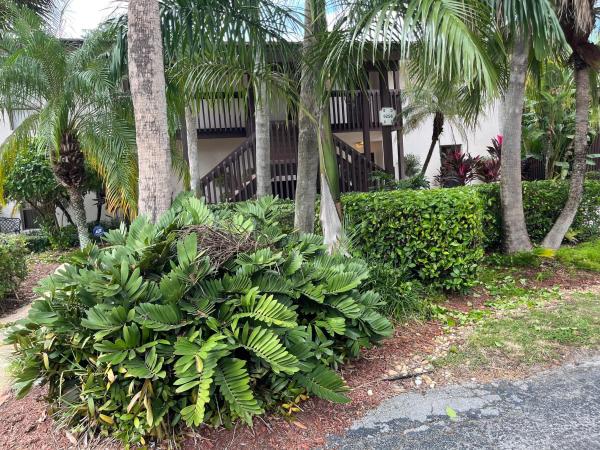 Boca Ridge Garden Villas, 9256 Sabal Ridge Cir #D, Boca Raton, Florida 33428, image 3