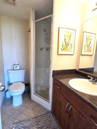 2560 S Ocean Blvd #416, Palm Beach, Florida 33480, image 1