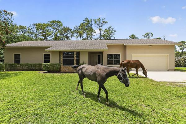6045 Hall Blvd, Loxahatchee, Florida 33470, image 3