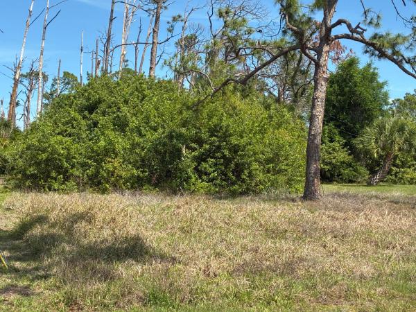 480 Longley Dr, Port Charlotte, Florida 33953, image 3