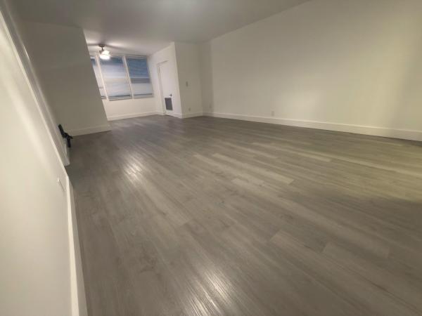 Palm Springs 3, 7460 NW 18th St #201, Margate, Florida 33063, image 2