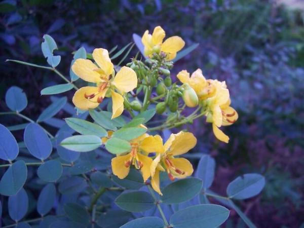 Hampton Fairways At Indian Spring, 6400 Three Lakes Ln, Boynton Beach, Florida 33437, image 1