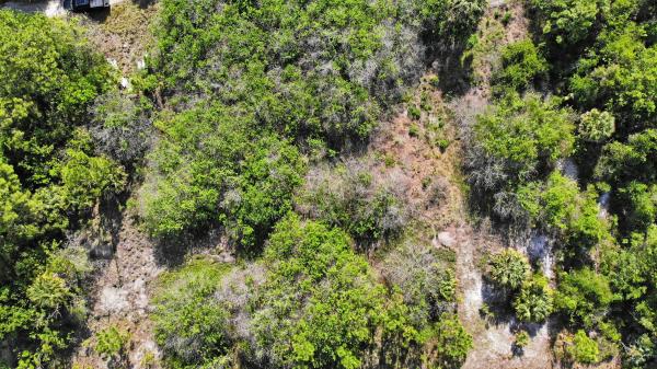 Indian River Estates, (0001) E Easy St, Fort Pierce, Florida 34982, image 3