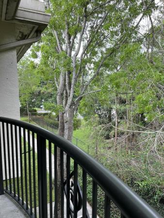 Grand View At Crestwood, 1000 Crestwood Ct S #1009, Royal Palm Beach, Florida 33411, image 1