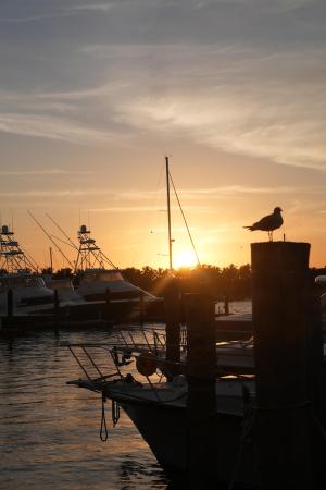 184 Lake Dr #3101, Palm Beach Shores, Florida 33404, image 1