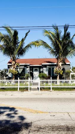 Southerly Hill, 5320 Parker Ave, West Palm Beach, Florida 33405, image 1
