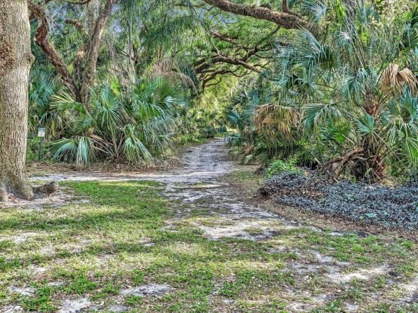 Poinciana Place Of Pine Island Ridge, 9470 Poinciana Pl #303, Davie, Florida 33324, image 1