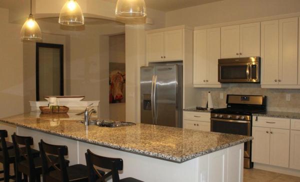 Castellina, 10274 Prato St, Wellington, Florida 33414, image 1