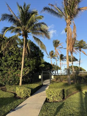 The Ocean North At The Bluffs, 401 Ocean Bluffs Blvd #303, Jupiter, Florida 33477, image 2