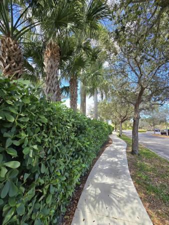 Pointe Midtown, 4920 Pointe Midtown Way, Palm Beach Gardens, Florida 33418, image 3