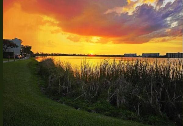 Lake Emerald, 118 Lake Emerald Dr #403, Oakland Park, Florida 33309, image 2