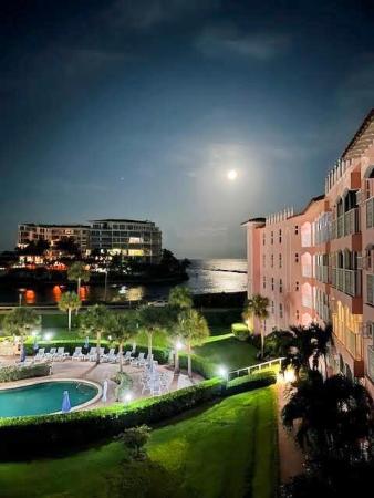 Newth Gardens, 1040 Banyan Rd #4010, Boca Raton, Florida 33432, image 2