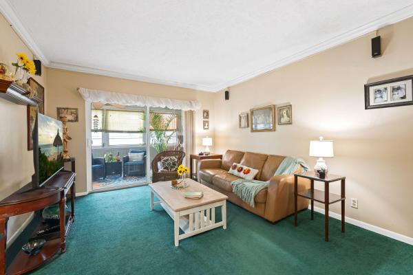 Canongate, 8004 Lagos De Campo Blvd #C-203, Tamarac, Florida 33321, image 3