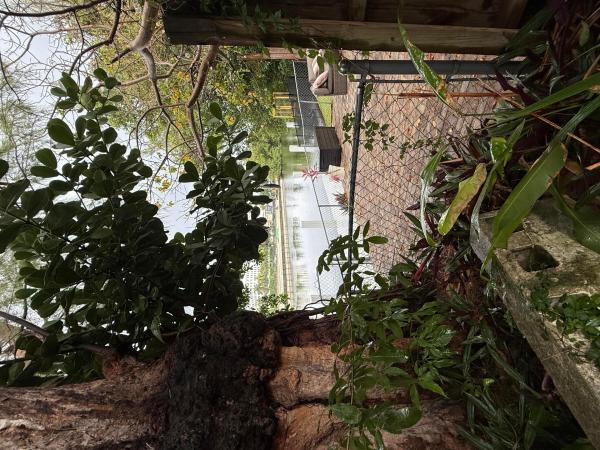 Lake Park, 1106 NE 18th Ave, Fort Lauderdale, Florida 33304, image 3