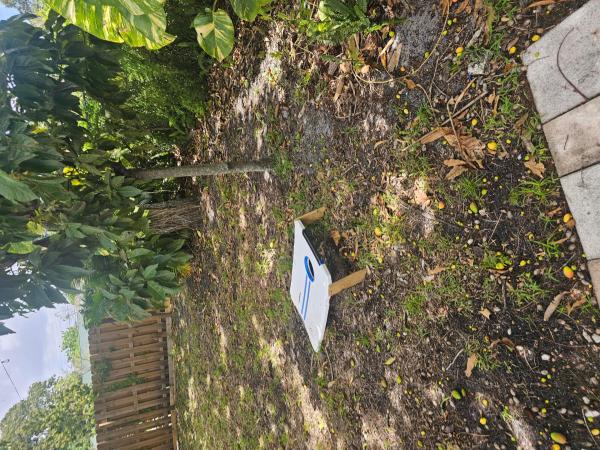 Flair, 4330 NW 11th St, Lauderhill, Florida 33313, image 1