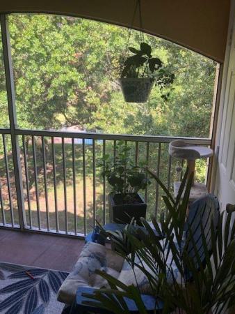 Sailboat Pointe, 2465 NW 33rd St #1516, Oakland Park, Florida 33309, image 3