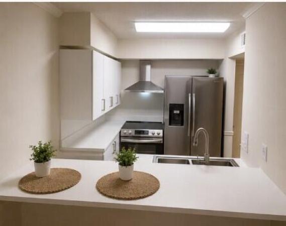 University Inn, 1280 S Alhambra Cir #1105, Coral Gables, Florida 33146, image 3
